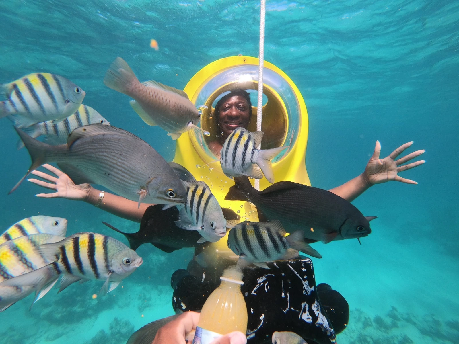 ScubaDoo Punta Cana – Explore the Underwater World with No Experience Needed